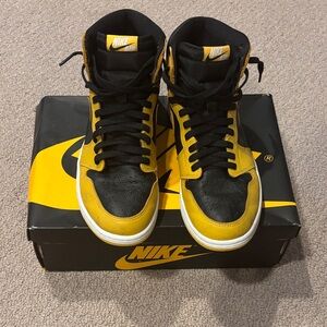 Nike Air Jordan Pollen 10.5